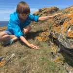 Salamanders op de Île de Groix