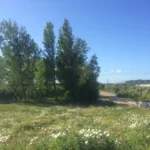 Op de trein wachten in Calais