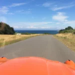 Duckie on the road