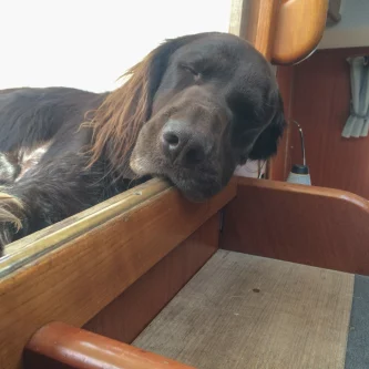 Nordic is zo relaxed aan boord
