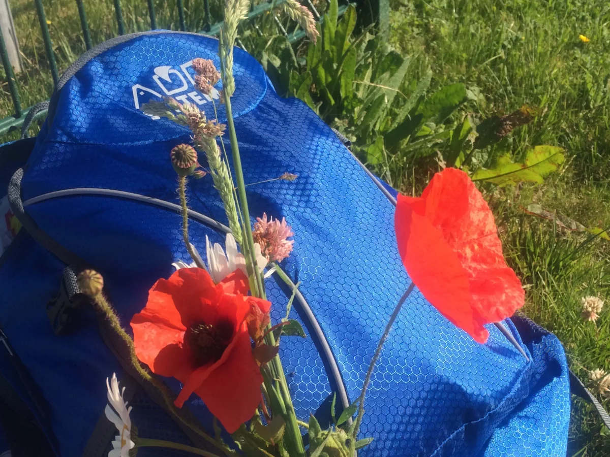 Op de trein wachten in Calais
